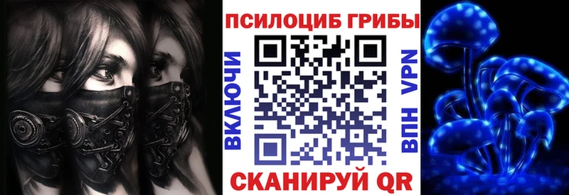 Галлюциногенные грибы Cubensis  купить закладку  Нестеров 